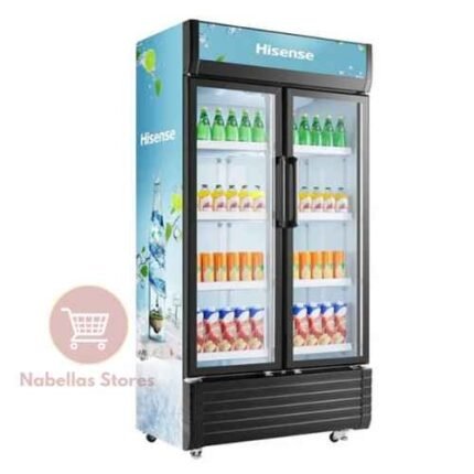 Hisense 810L Display Chiller Fridge FL-81 Double Door – Refrigerator
