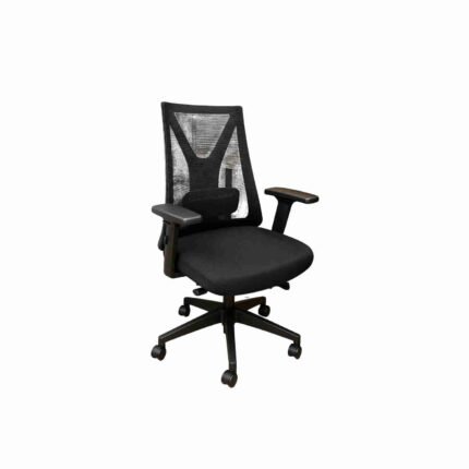 Ergonomic Mesh Office Chair With Adjustable Lumbar Support